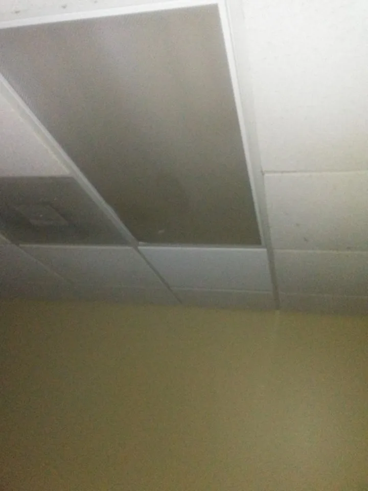 Lizards Business Venture, LLC - Photo 7