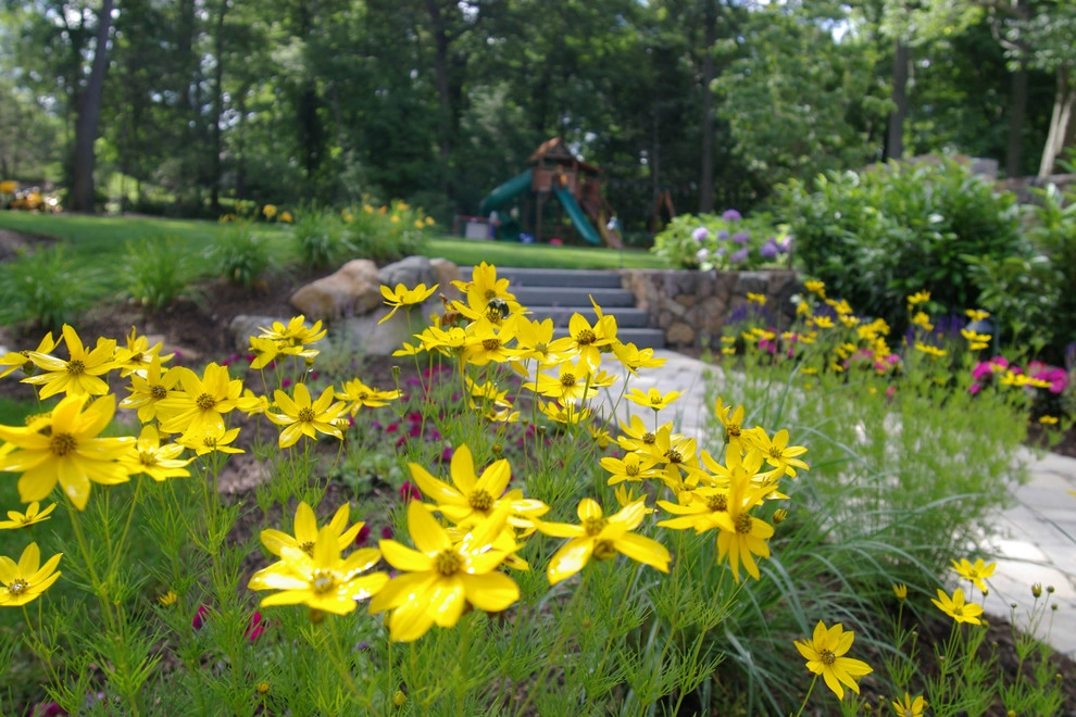 Planting by Cashman Landscape Mgt & Design Inc. - Photo 17
