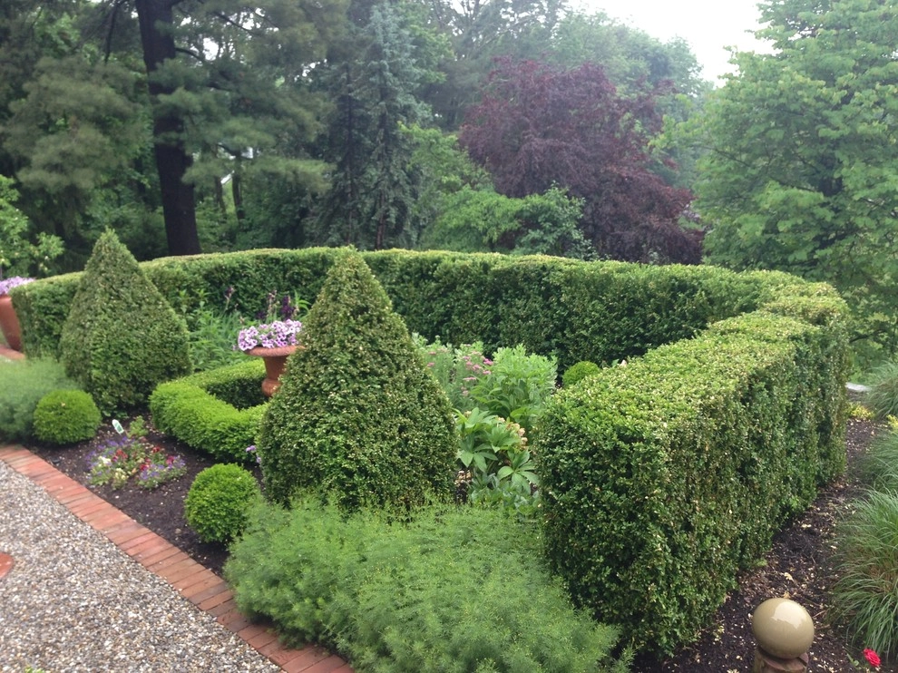 Planting by Cashman Landscape Mgt & Design Inc. - Photo 9