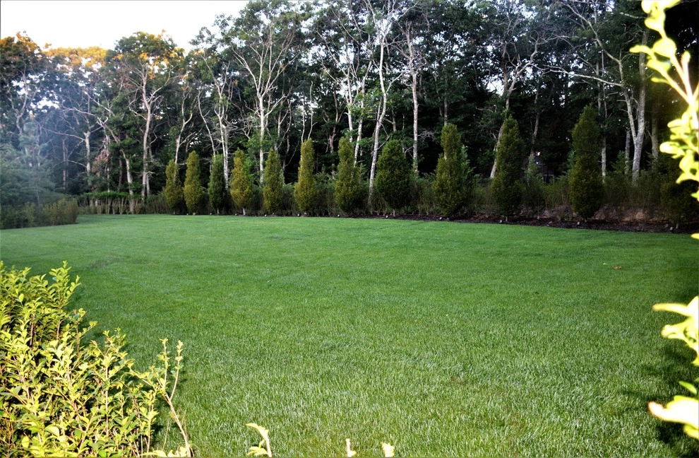 Planting by Cashman Landscape Mgt & Design Inc. - Photo 11