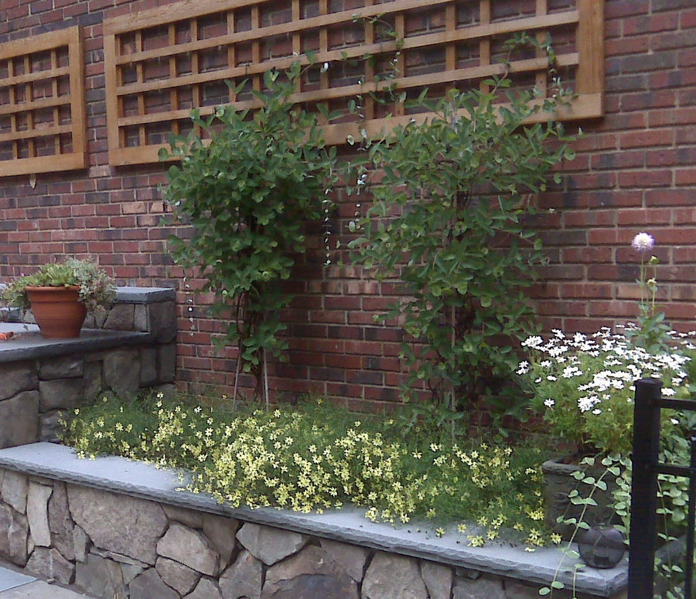 Planting by Cashman Landscape Mgt & Design Inc. - Photo 16