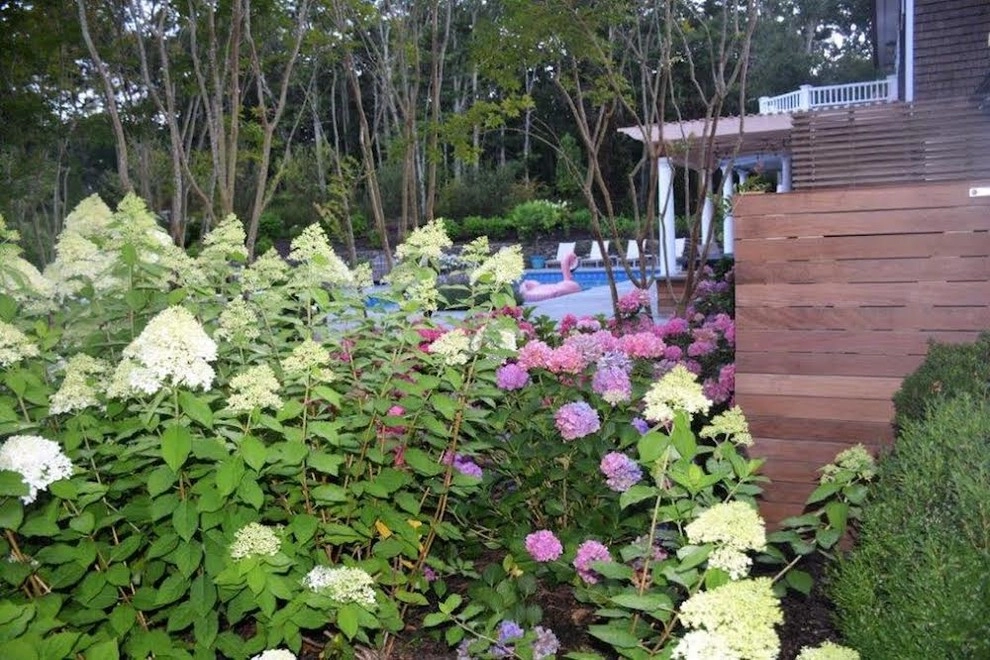 "The Hamptons Baby" East Hampton, New York by Cashman Landscape Mgt & Design Inc. - Photo 33