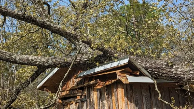 Reconstruct Stein Shed by Valor Contracting LLC - Photo 2