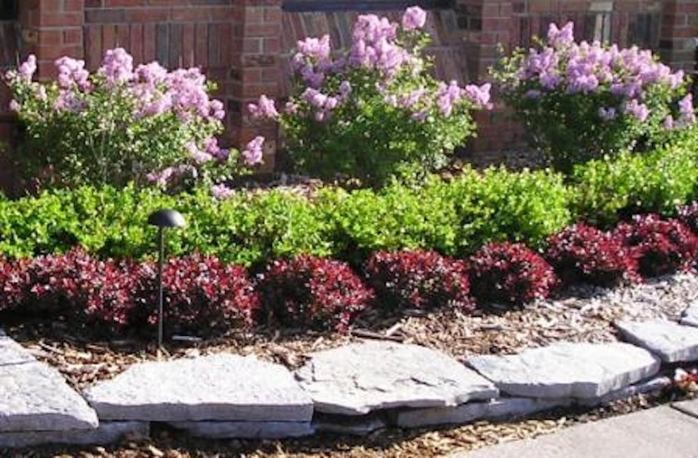 Central Big & Small Landscaping LLC - Photo 2
