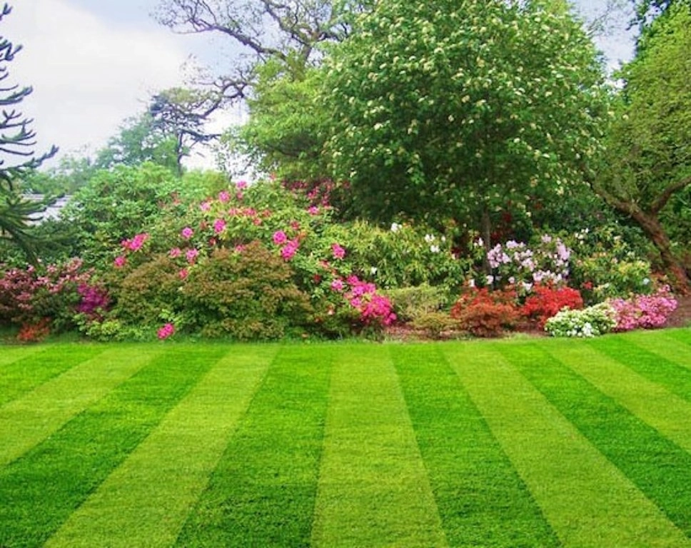 Central Big & Small Landscaping LLC - Photo 3