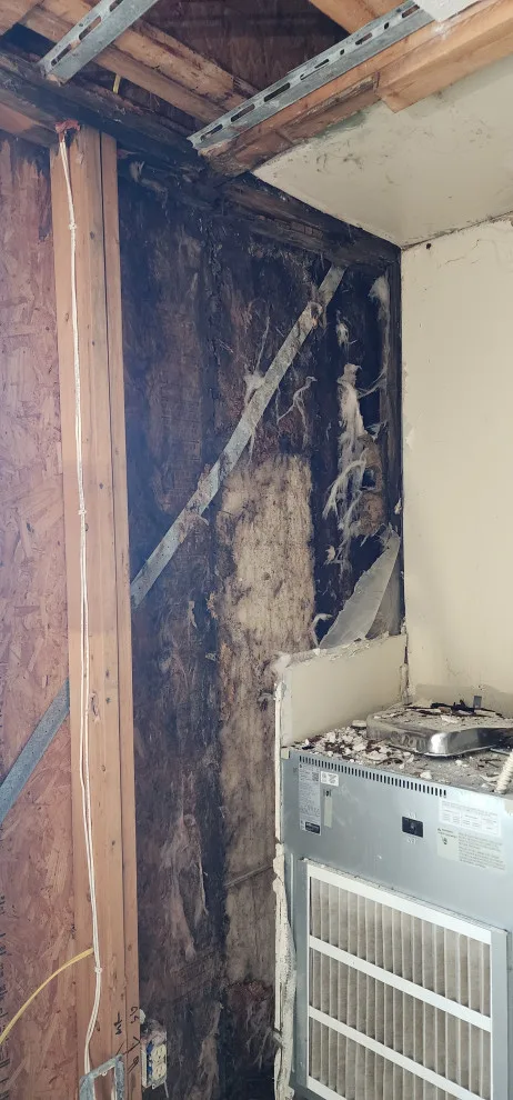Town Place Suites by GEA Renovations LLC - Photo 3
