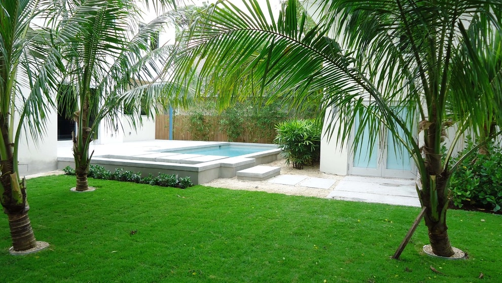Bougainvillea Street Modern by BORDEN Landscape Design - Photo 7