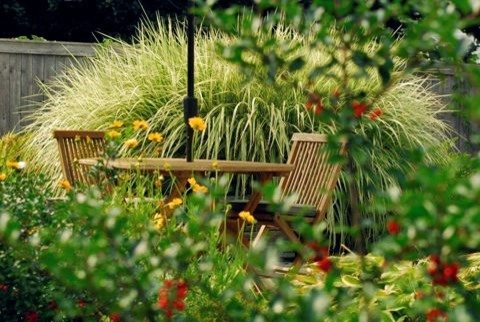 Grassy Hideaway, Dorchester, MA by Christie Dustman & Company INC. - Photo 2