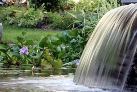 Cool Oasis, Brookline, MA by Christie Dustman & Company INC. - Photo 2