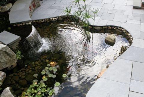 Cool Oasis, Brookline, MA by Christie Dustman & Company INC. - Photo 4