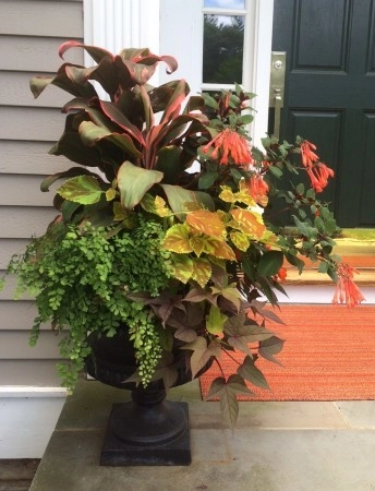 Container Gardening Projects by Christie Dustman & Company INC. - Photo 6
