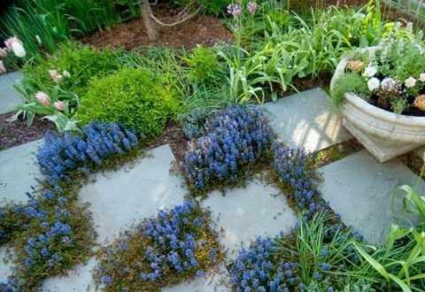 Perfect Palette, Brookline, MA by Christie Dustman & Company INC. - Photo 3