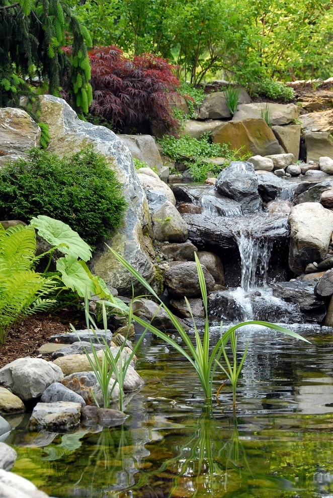 Williston Terrace and Woodland Garden by Church Hill Landscapes, Inc. - Photo 4