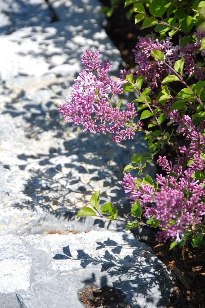 Church Hill Landscapes, Inc. - Photo 11