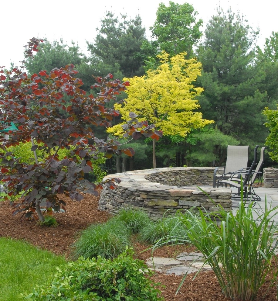 Williston Terrace and Woodland Garden by Church Hill Landscapes, Inc. - Photo 5