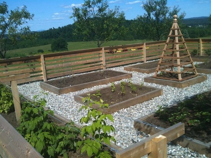 Shelburne Veggie Garden by Church Hill Landscapes, Inc. - Photo 4