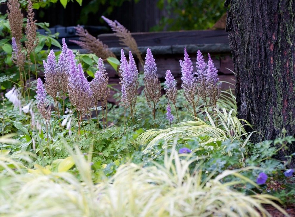 Burlington Hill Section Gardens by Church Hill Landscapes, Inc. - Photo 5