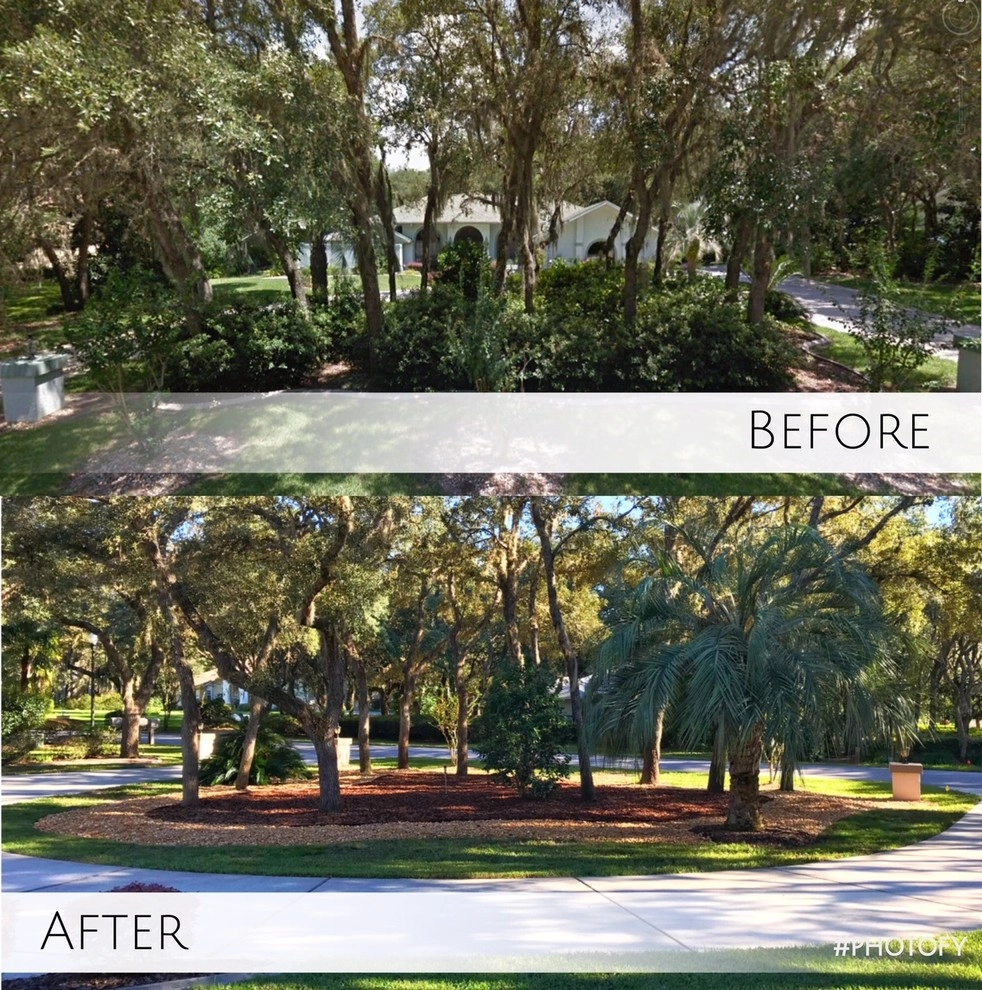 Citruscapes Lawn & Landscaping - Photo 13