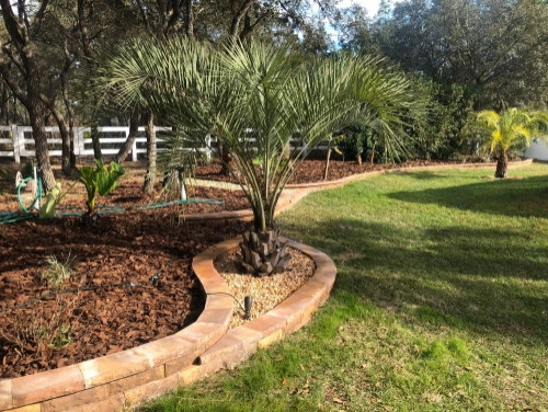 Citruscapes Lawn & Landscaping - Photo 8