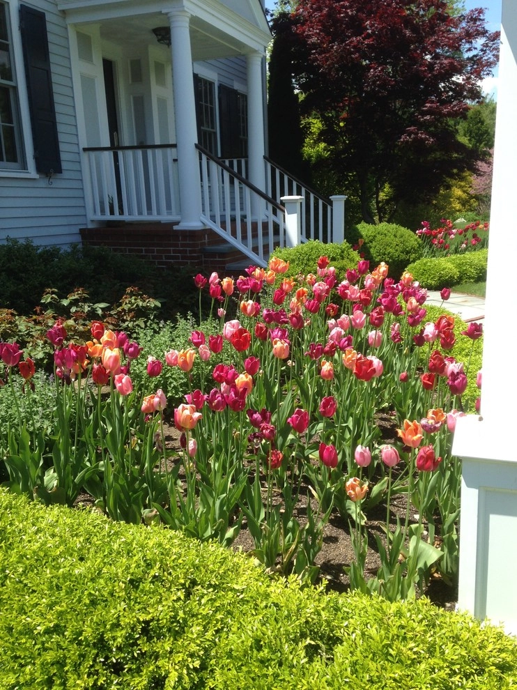 Spring Flowers by City & Estate Gardener - Photo 3
