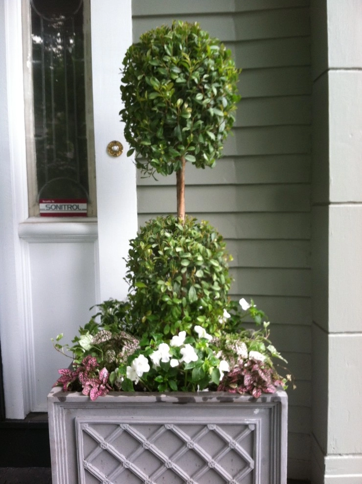 Container Gardens by City & Estate Gardener - Photo 29