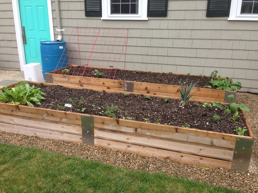 Container Gardens by City & Estate Gardener - Photo 4