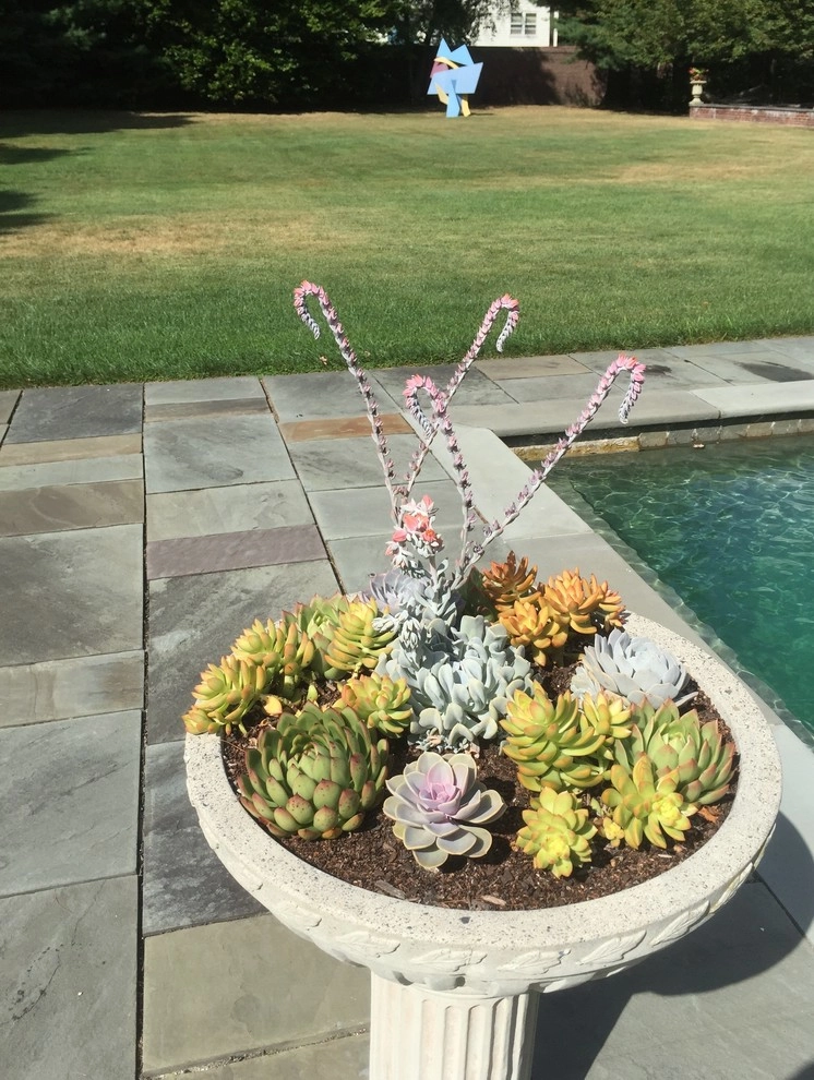 Container Gardens by City & Estate Gardener - Photo 7