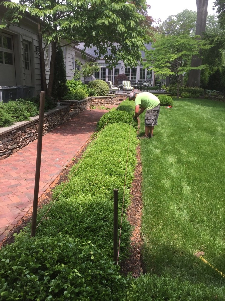 maintenance by City & Estate Gardener - Photo 5