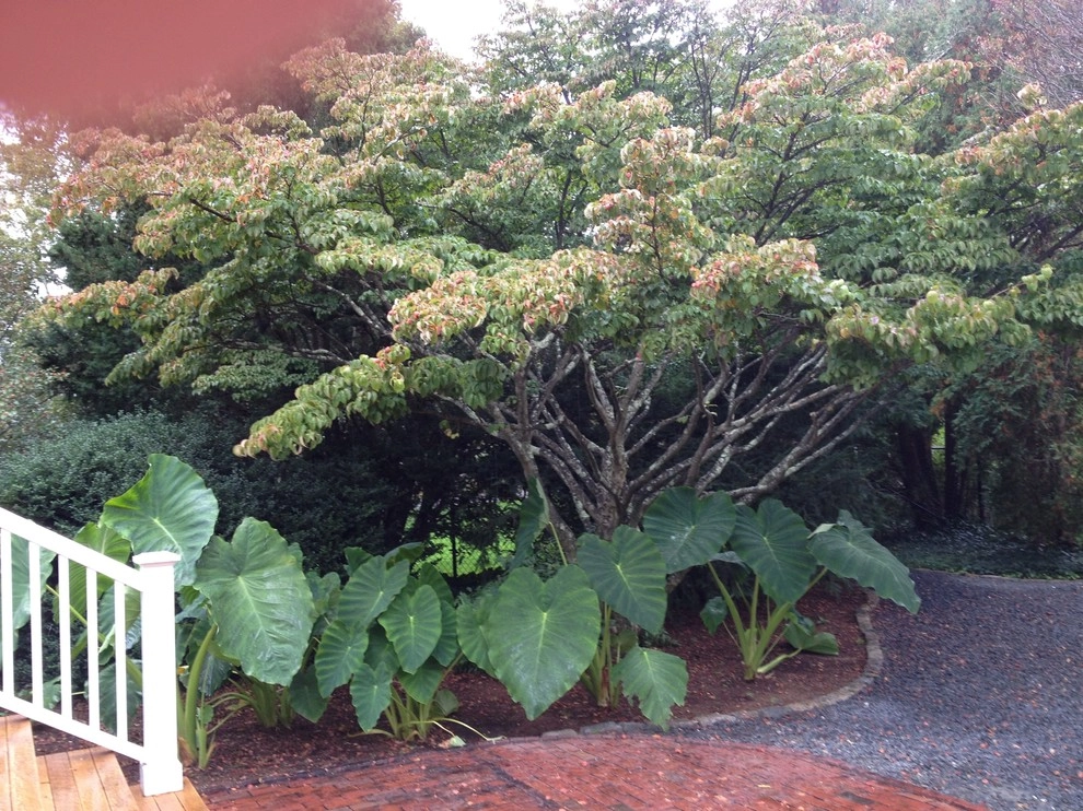 Seasonal Color by City & Estate Gardener - Photo 31