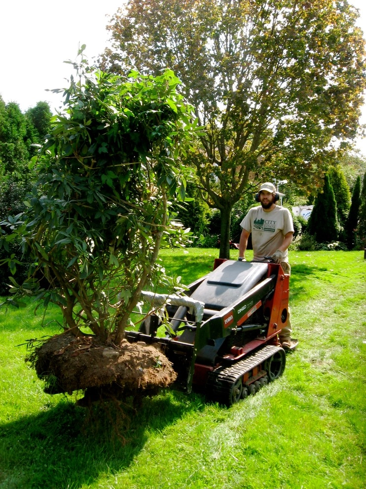 landscape construction by City & Estate Gardener - Photo 10