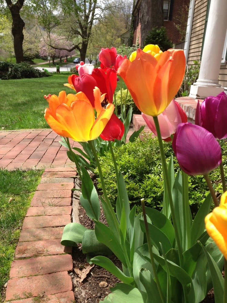 City & Estate Gardener - Photo 7