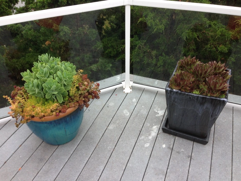 Container Gardens by City & Estate Gardener - Photo 21