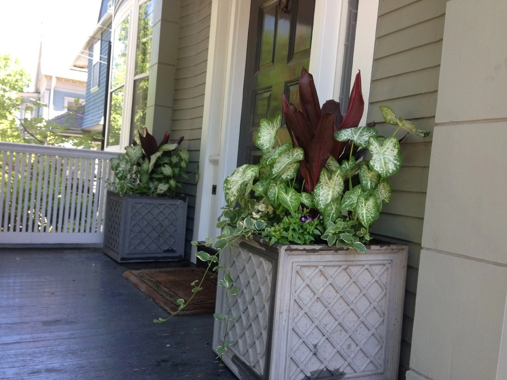 Container Gardens by City & Estate Gardener - Photo 19