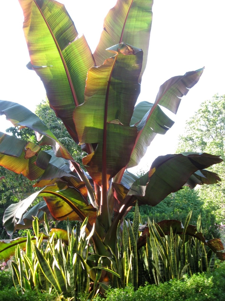 Seasonal Color by City & Estate Gardener - Photo 30