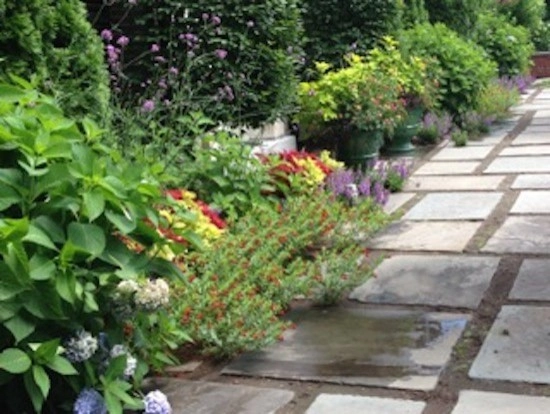 Seasonal Color by City & Estate Gardener - Photo 41