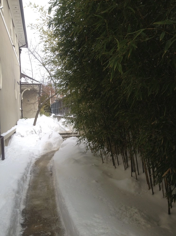 snow service by City & Estate Gardener - Photo 2