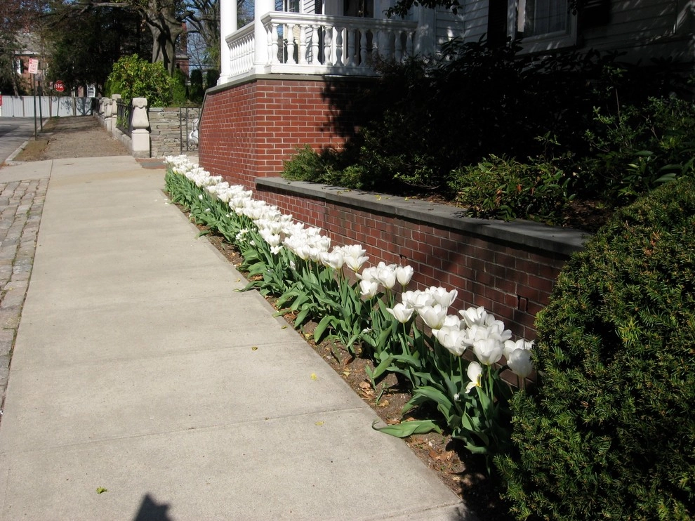 Spring Flowers by City & Estate Gardener - Photo 2
