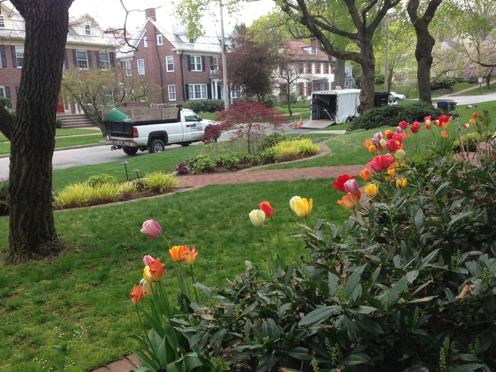 Spring Flowers by City & Estate Gardener - Photo 8