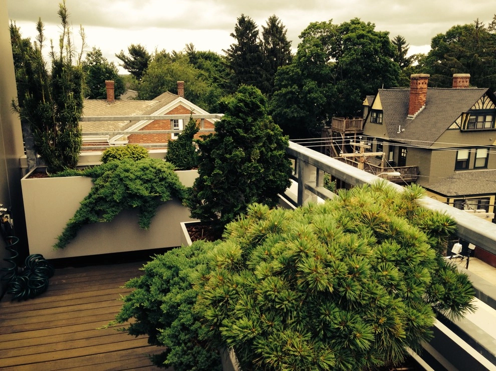 Container Gardens by City & Estate Gardener - Photo 18