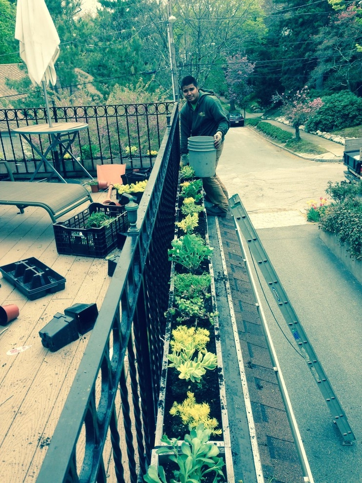 Container Gardens by City & Estate Gardener - Photo 20