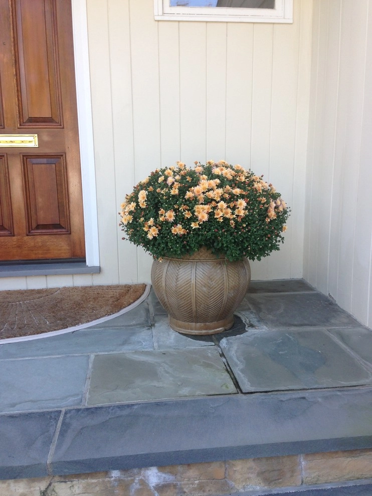 Container Gardens by City & Estate Gardener - Photo 38