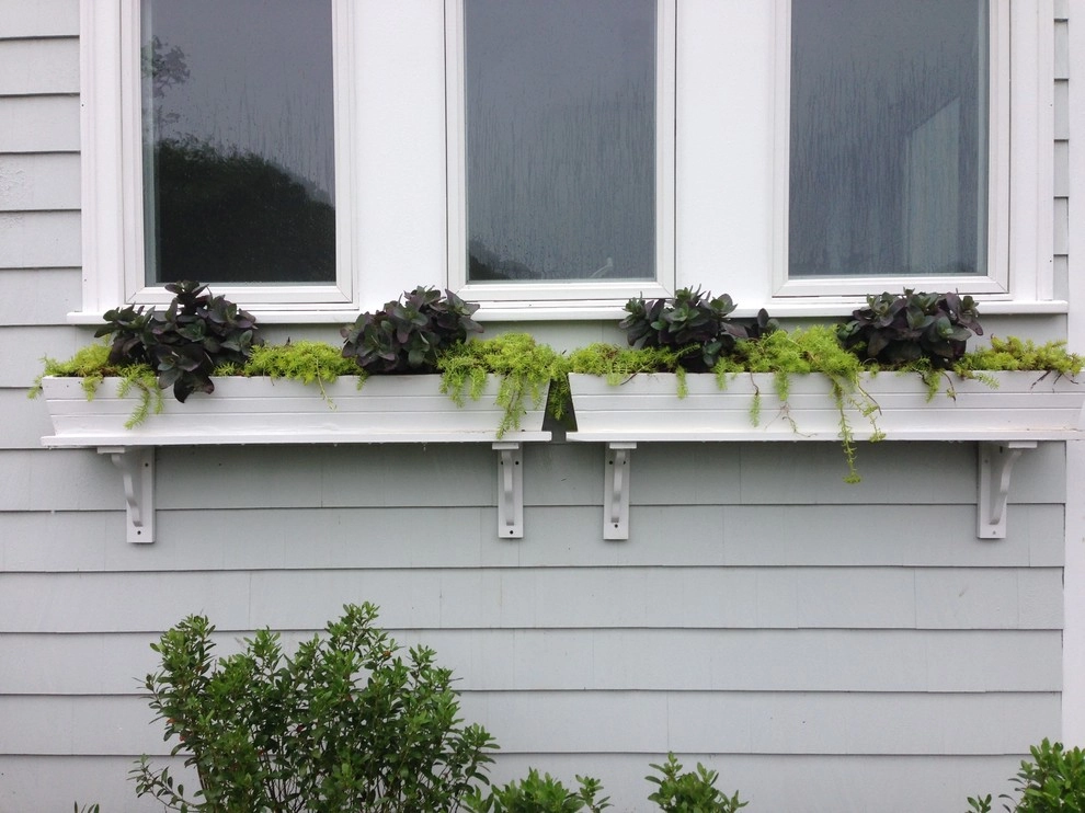 Container Gardens by City & Estate Gardener - Photo 40