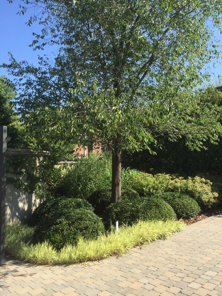 Seasonal Color by City & Estate Gardener - Photo 48