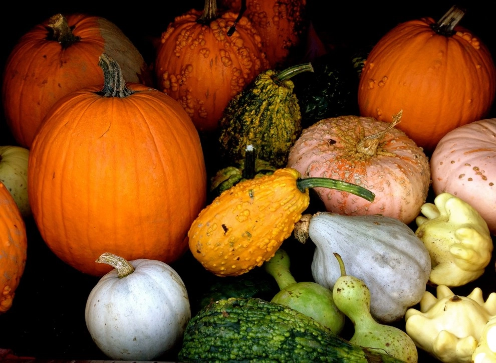 Seasonal Color by City & Estate Gardener - Photo 16