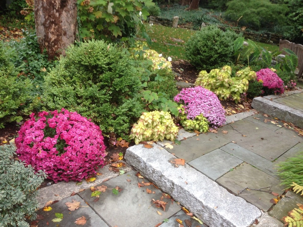 Seasonal Color by City & Estate Gardener - Photo 11