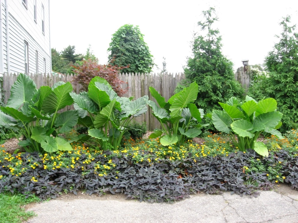 Seasonal Color by City & Estate Gardener - Photo 34
