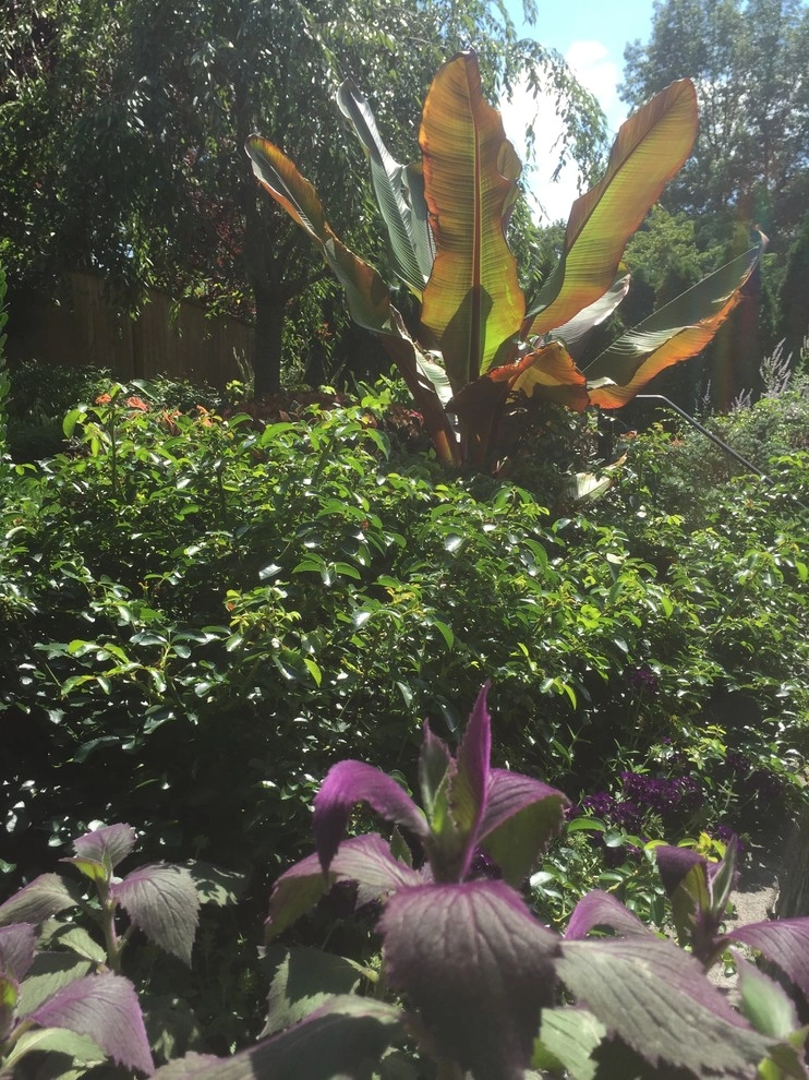 Seasonal Color by City & Estate Gardener - Photo 47