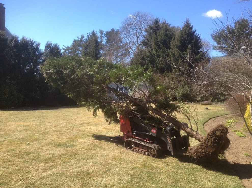 landscape construction by City & Estate Gardener - Photo 9