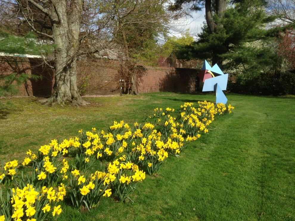 Spring Flowers by City & Estate Gardener - Photo 12