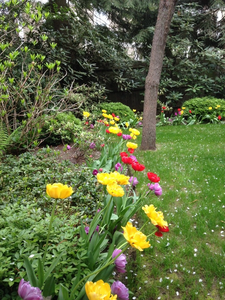Spring Flowers by City & Estate Gardener - Photo 6
